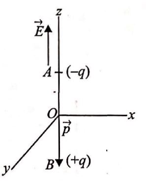 Solution Image