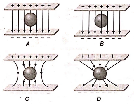 Physics Question Image