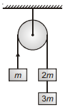 Physics Question Image