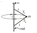 Physics Question Image