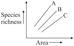 In the above graph, which slope represents more species richness