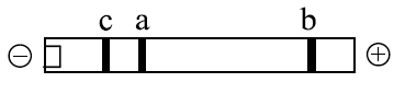 Option 4