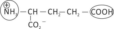 Solution