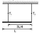 Uniform rod of mass m and length L is suspended with two massless ...