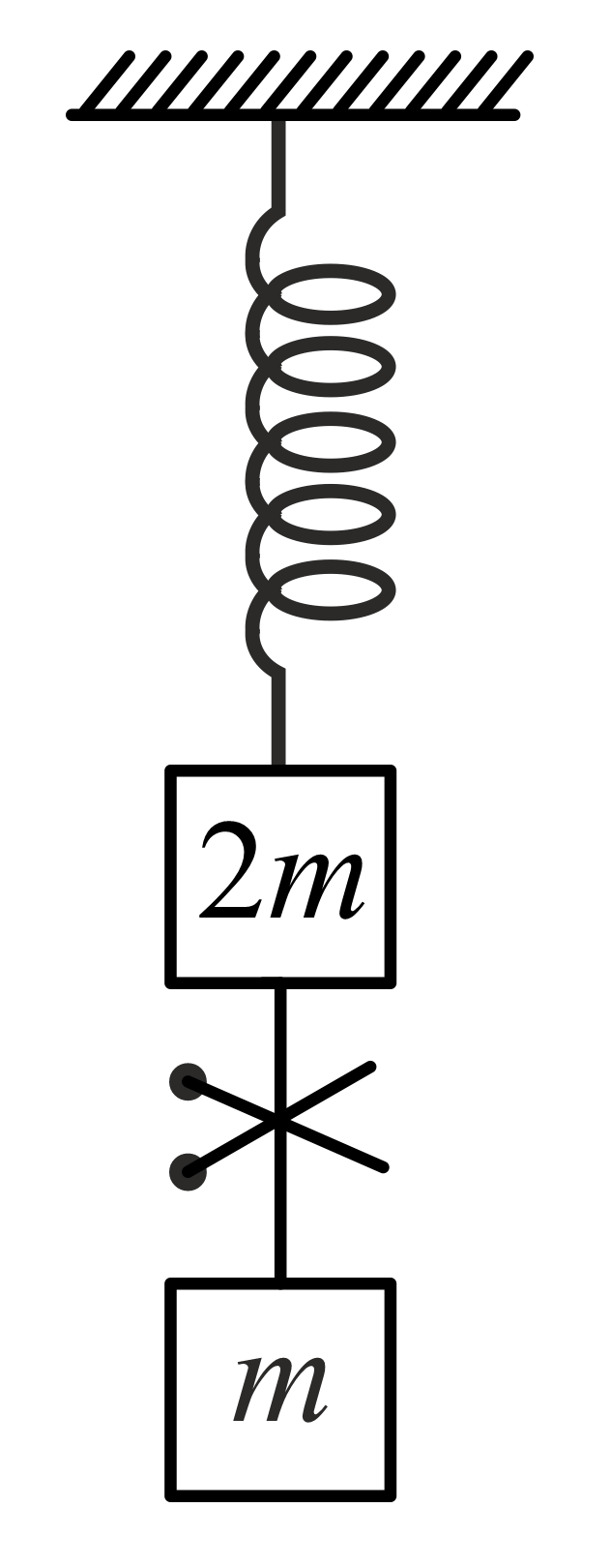 Physics Spring And String Riddle The system shown in the figure is in equilibrium and at rest. The ...