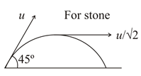 Solution