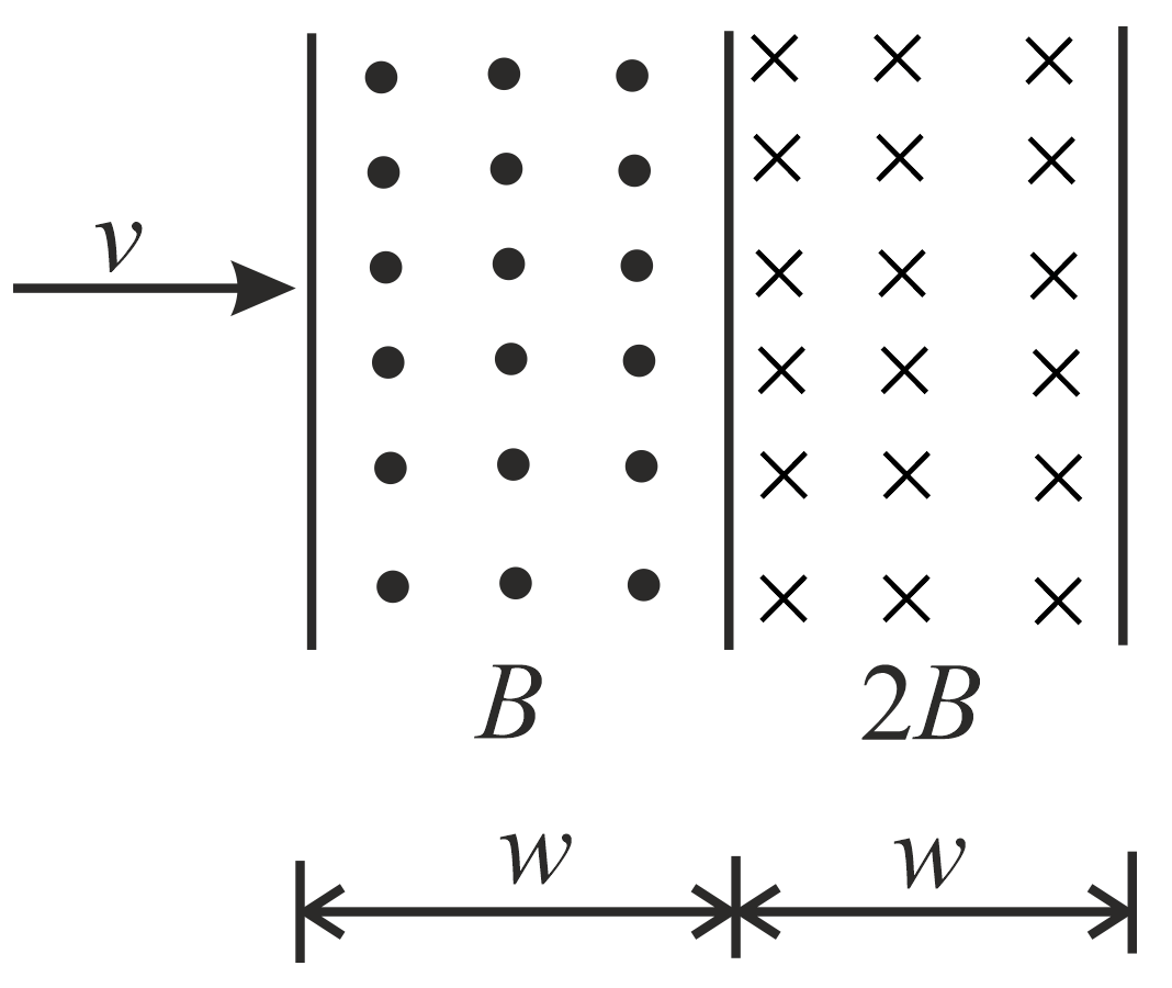 The figure shows two regions of uniform magnetic fields of strengths B ...