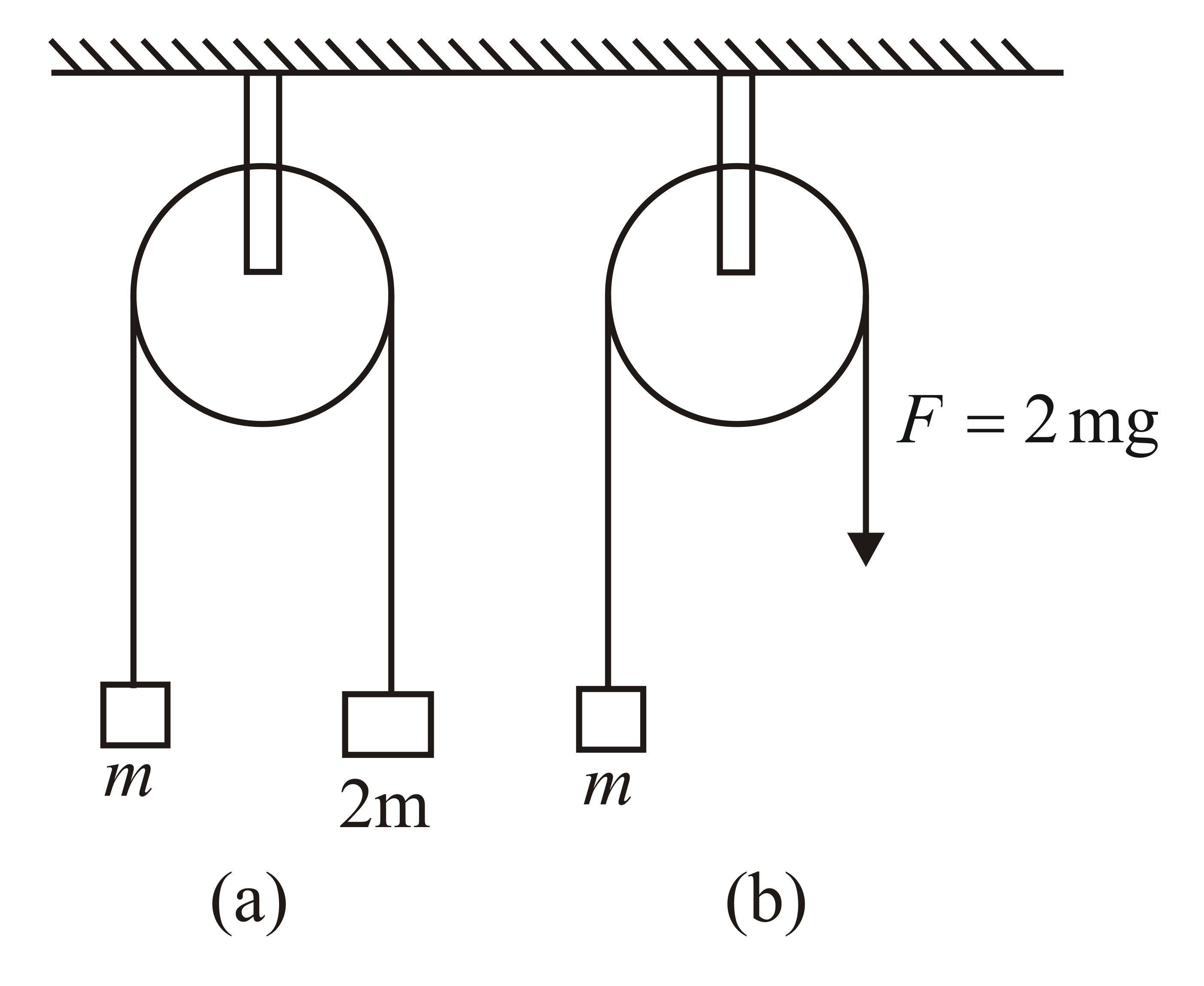 The pulley arrangements shown in the figure are identical, the mass of ...